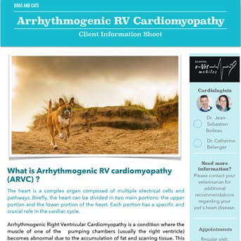 Arrhythmogenic RV Cardiomyopathy