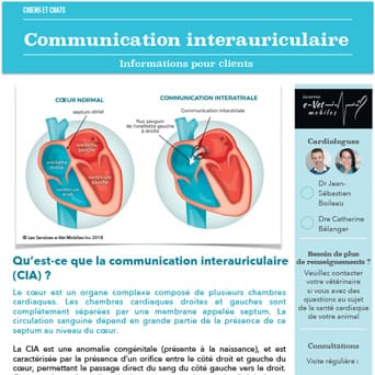 Communication interauriculaire