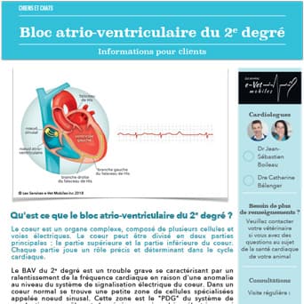 Bloc atrio-ventriculaire du 2e degré