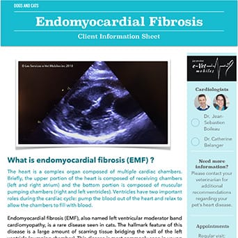 Endomyocardial Fibrosis