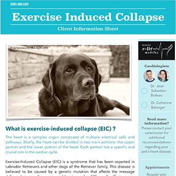 Exercise Induced Collapse