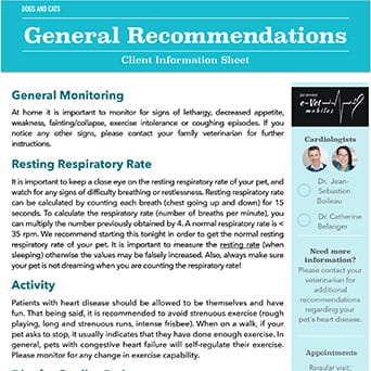 General Recommendations