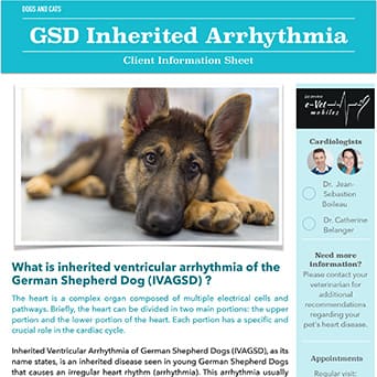 GSD Inherited Arrhythmia