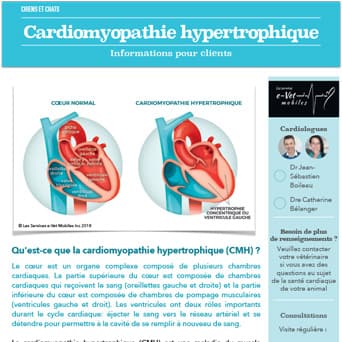 Cardiomyopathie hypertrophique
