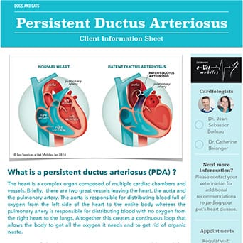 Persistent Ductus Arteriosus