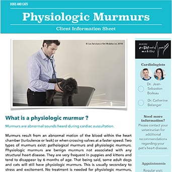 Physiologic Murmurs