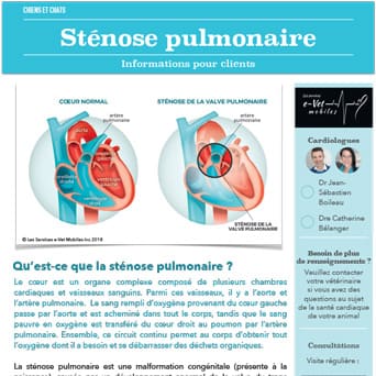 Sténose pulmonaire