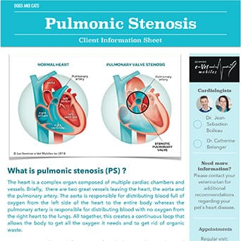 Pulmonic Stenosis