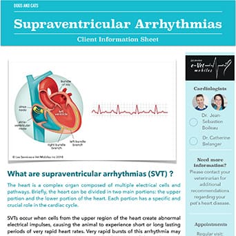 Supraventricular Arrhythmias