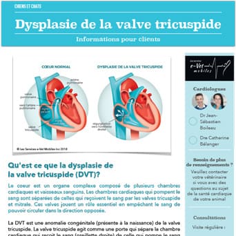 Dysplasie de la valve tricuspide