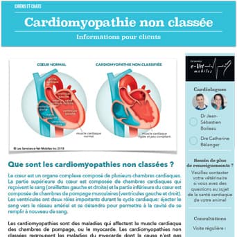 Cardiomyopathie non classée