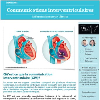 Communications interventriculaires