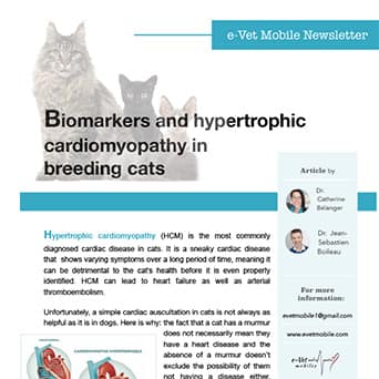 Biomarkers and hypertrophic cardiomyopathy in breeding cats