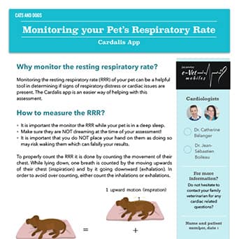 Monitoring your Pet's Respiratory Rate with Cardalis App